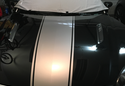 Customer Submitted Photo: Covercraft Sunbrella Convertible Interior Cover